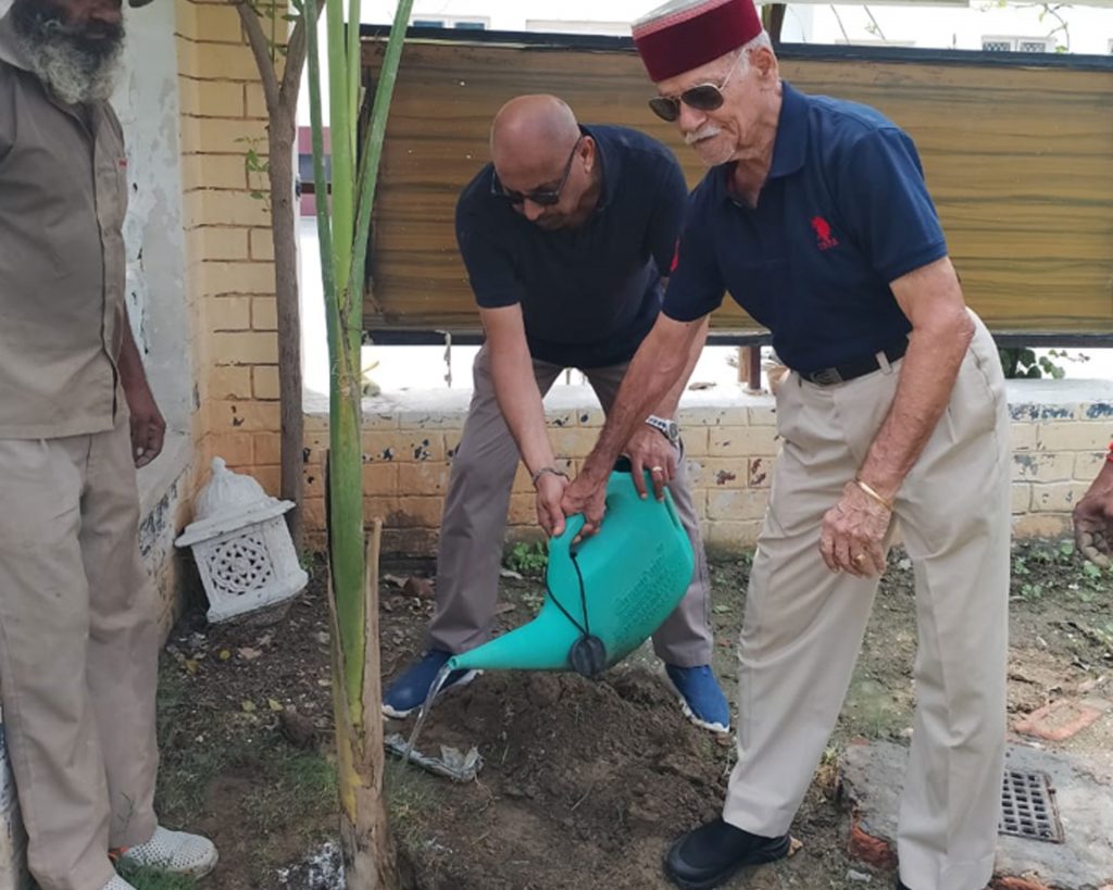 tree-plantation-2025-01