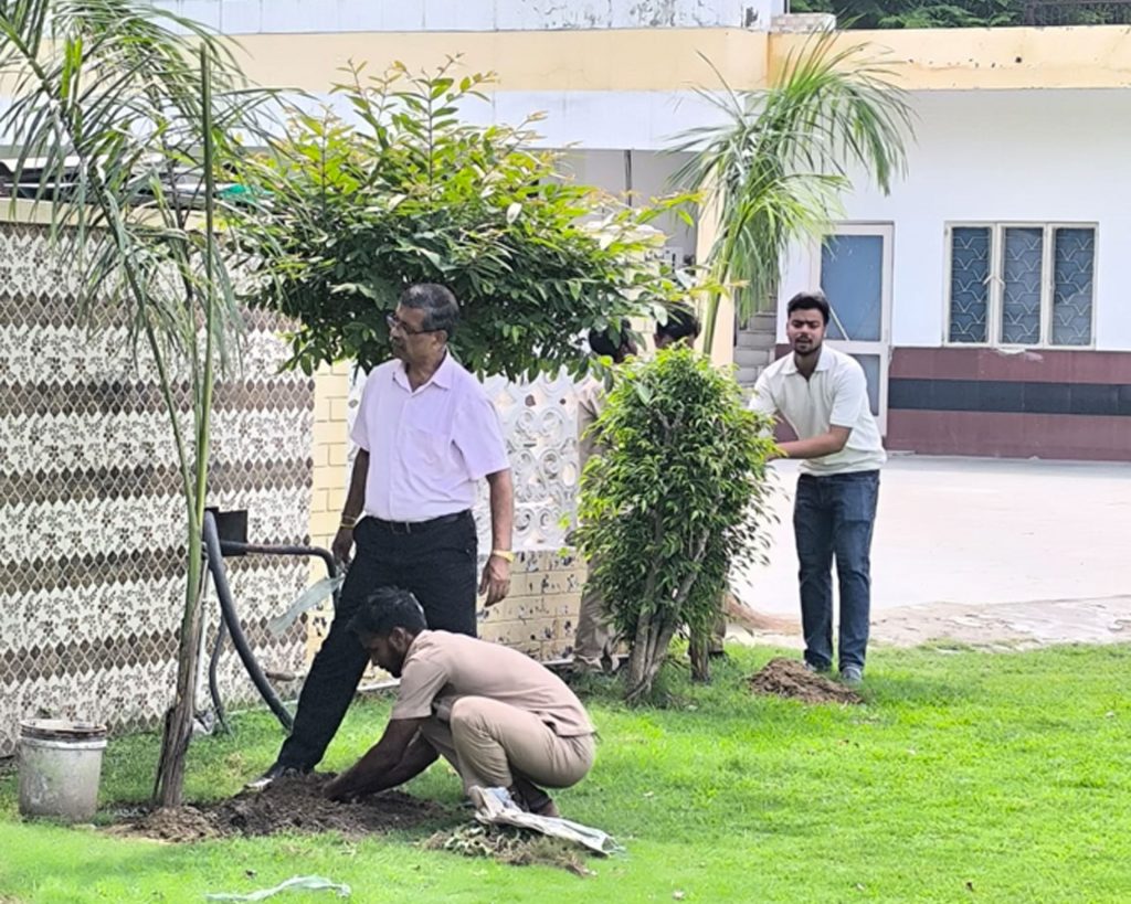 tree-plantation-2025-02