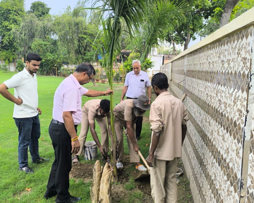 tree-plantation-2025-03