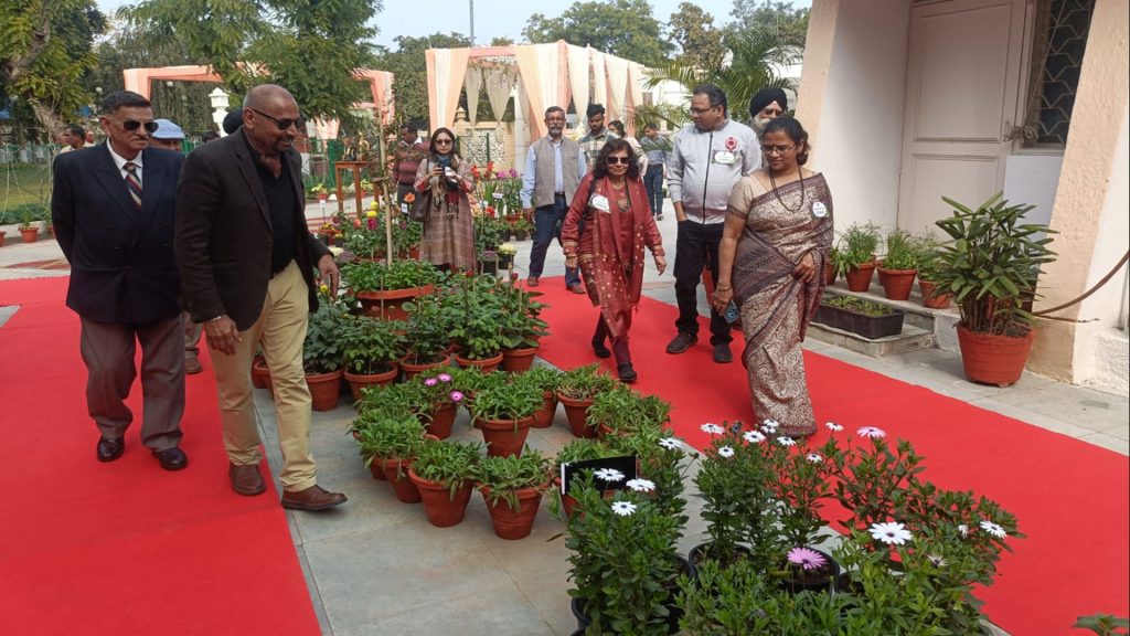 garden-competition-2025-04